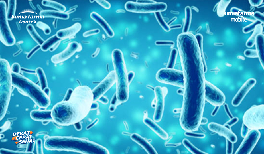 Read more about the article Ketahui Penyebab Infeksi Salmonella & Cara Menghindarinya
